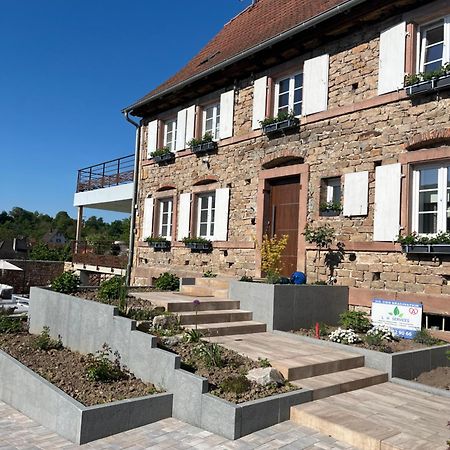 Chambres D'Hotes Chez Linda Stephane Le Passe Compose Preuschdorf 外观 照片