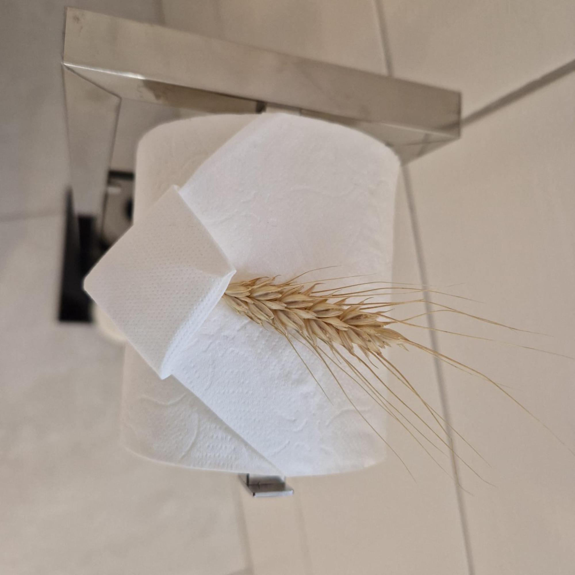 Chambres D'Hotes Chez Linda Stephane Le Passe Compose Preuschdorf 外观 照片