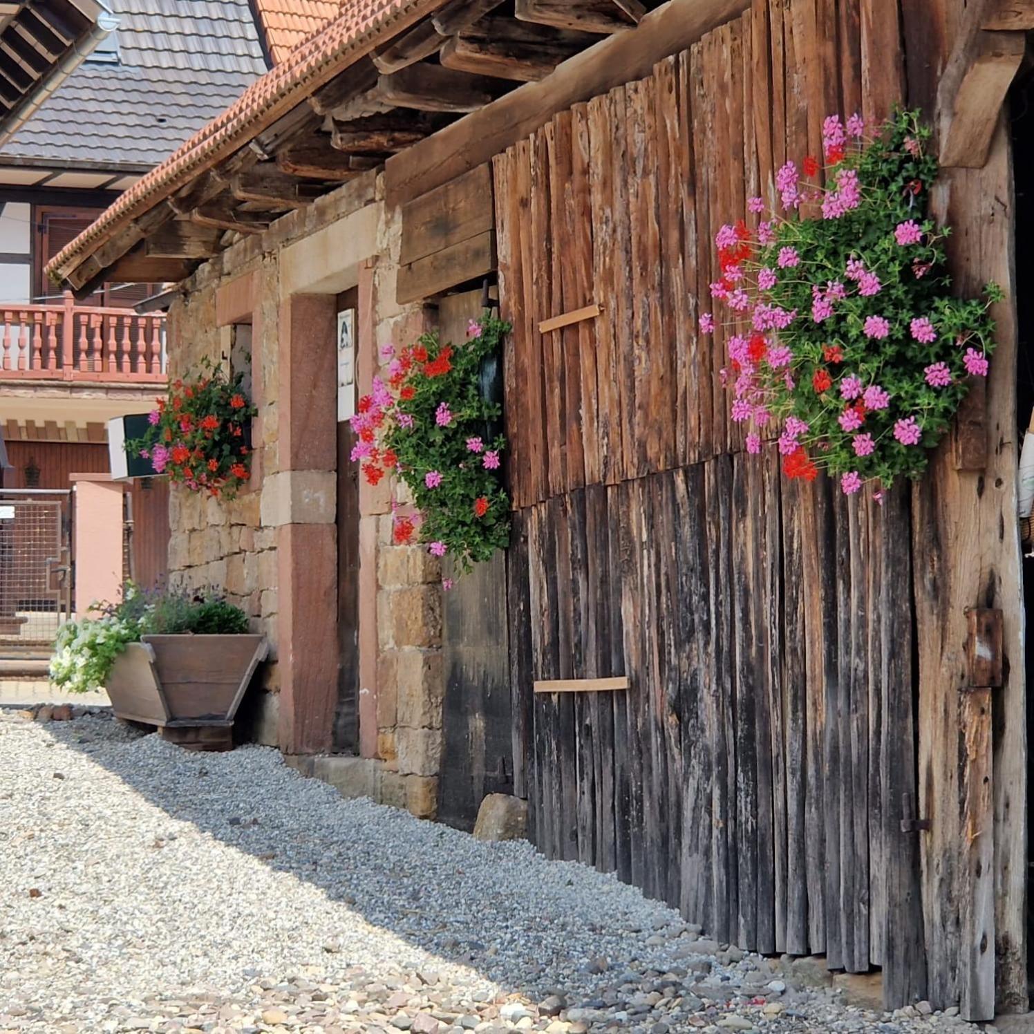 Chambres D'Hotes Chez Linda Stephane Le Passe Compose Preuschdorf 外观 照片